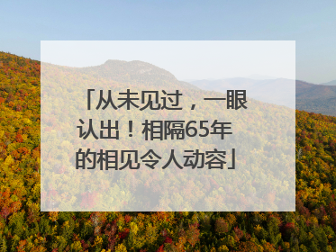 从未见过，一眼认出！相隔65年的相见令人动容