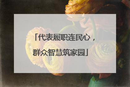 代表履职连民心，群众智慧筑家园