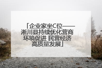 企业家坐C位——淅川县持续优化营商环境促进 民营经济高质量发展
