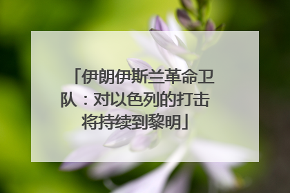 伊朗伊斯兰革命卫队：对以色列的打击将持续到黎明