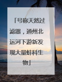 号称天然过滤器，通州北运河下游新发现大量蚌科生物