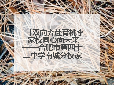 双向奔赴育桃李 家校同心向未来——合肥市第四十二中学南城分校家长学校期末总结会圆满召开