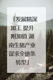 发展精深加工 提升附加值 湖南生猪产业谋求全链条转型