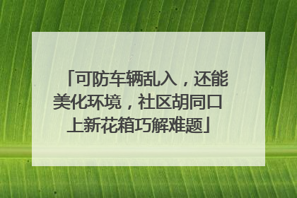 可防车辆乱入，还能美化环境，社区胡同口上新花箱巧解难题