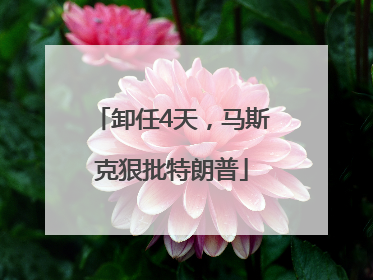 卸任4天，马斯克狠批特朗普