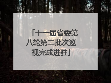 十一届省委第八轮第二批次巡视完成进驻