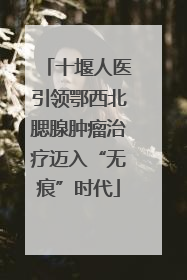 十堰人医引领鄂西北腮腺肿瘤治疗迈入“无痕”时代