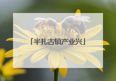 半扎古镇产业兴