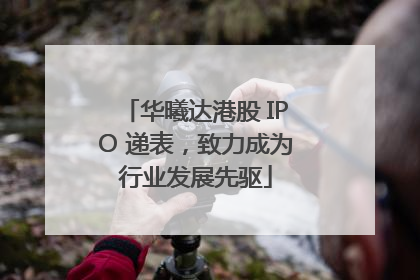 华曦达港股 IPO 递表，致力成为行业发展先驱