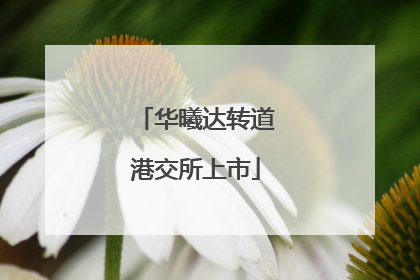 华曦达转道港交所上市