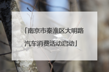 南京市秦淮区大明路汽车消费活动启动
