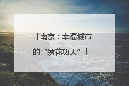 南京：幸福城市的“绣花功夫”