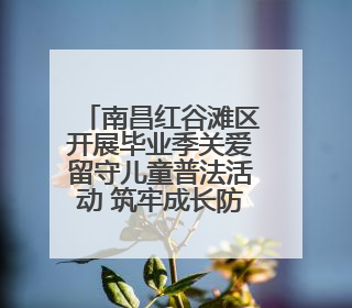 南昌红谷滩区开展毕业季关爱留守儿童普法活动 筑牢成长防护网