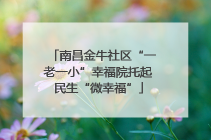 南昌金牛社区“一老一小”幸福院托起民生“微幸福”