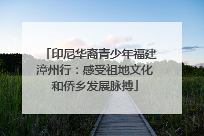 印尼华裔青少年福建漳州行：感受祖地文化和侨乡发展脉搏