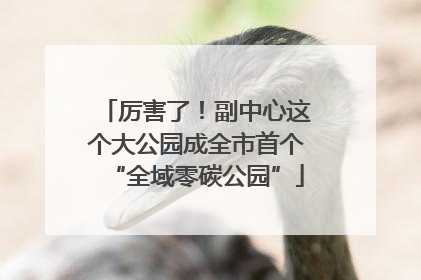 厉害了！副中心这个大公园成全市首个“全域零碳公园”