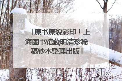 原书原貌影印！上海图书馆藏明清珍稀稿钞本整理出版