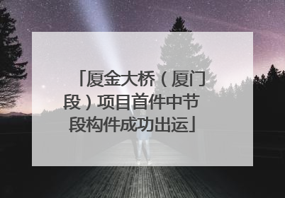 厦金大桥（厦门段）项目首件中节段构件成功出运
