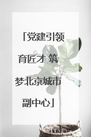 党建引领育匠才 筑梦北京城市副中心