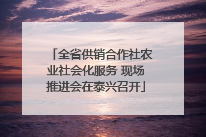 全省供销合作社农业社会化服务 现场推进会在泰兴召开
