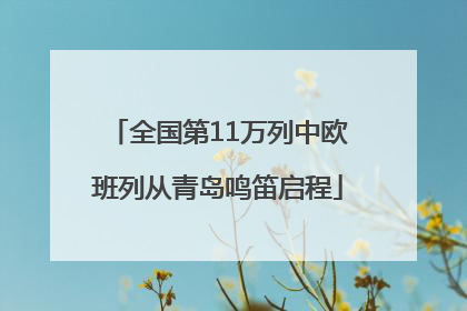 全国第11万列中欧班列从青岛鸣笛启程