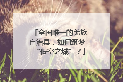 全国唯一的羌族自治县，如何筑梦“低空之城”？