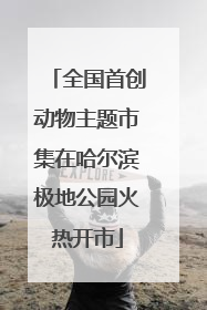 全国首创动物主题市集在哈尔滨极地公园火热开市