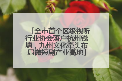 全市首个区级视听行业协会落户杭州钱塘，九州文化牵头布局微短剧产业高地