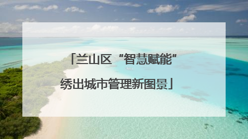 兰山区“智慧赋能”绣出城市管理新图景