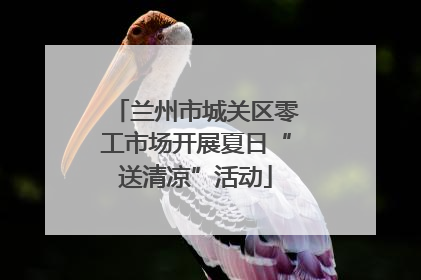兰州市城关区零工市场开展夏日“送清凉”活动