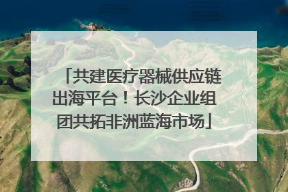 共建医疗器械供应链出海平台！长沙企业组团共拓非洲蓝海市场