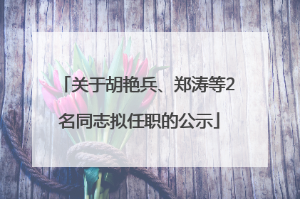 关于胡艳兵、郑涛等2名同志拟任职的公示
