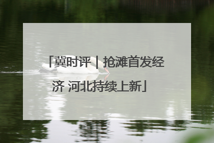 冀时评｜抢滩首发经济 河北持续上新