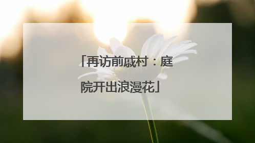 再访前戚村：庭院开出浪漫花