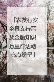 农发行安乡县支行普及金融知识万里行活动亮点纷呈