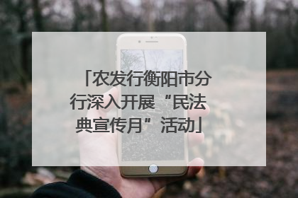 农发行衡阳市分行深入开展“民法典宣传月”活动