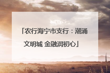 农行海宁市支行：潮涌文明城 金融润初心