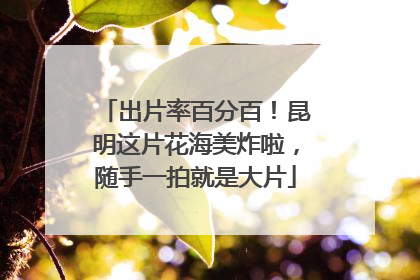 出片率百分百！昆明这片花海美炸啦，随手一拍就是大片