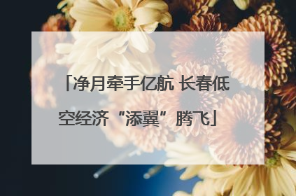 净月牵手亿航 长春低空经济“添翼”腾飞
