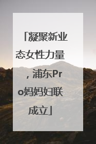 凝聚新业态女性力量，浦东Pro妈妈妇联成立