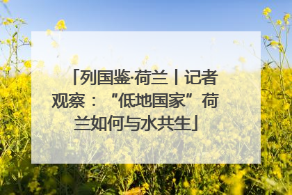 列国鉴·荷兰丨记者观察：“低地国家”荷兰如何与水共生
