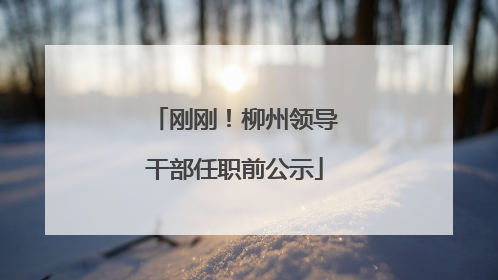 刚刚！柳州领导干部任职前公示