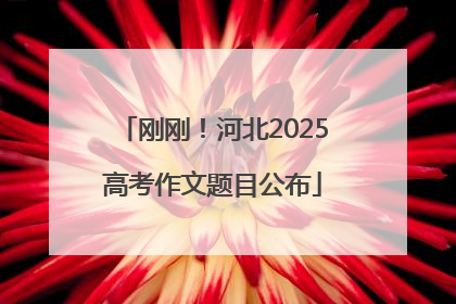 刚刚！河北2025高考作文题目公布