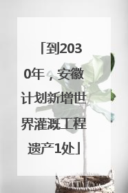 到2030年，安徽计划新增世界灌溉工程遗产1处