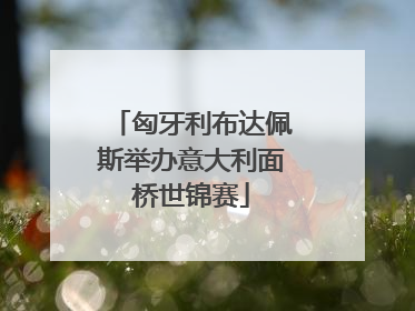 匈牙利布达佩斯举办意大利面桥世锦赛