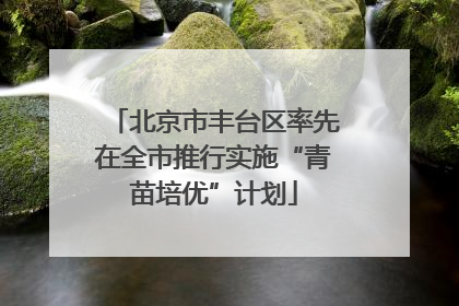北京市丰台区率先在全市推行实施“青苗培优”计划