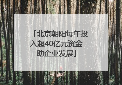 北京朝阳每年投入超40亿元资金助企业发展