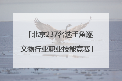 北京237名选手角逐文物行业职业技能竞赛