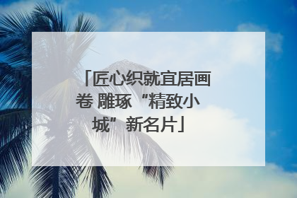 匠心织就宜居画卷 雕琢“精致小城”新名片