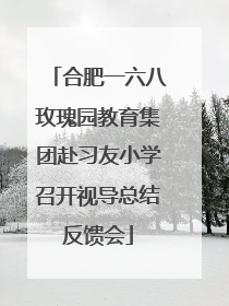 合肥一六八玫瑰园教育集团赴习友小学召开视导总结反馈会